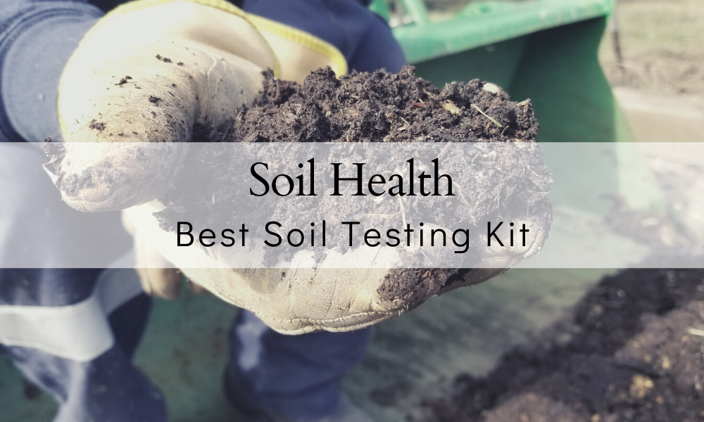 Best Soil Testing Kit for 2024