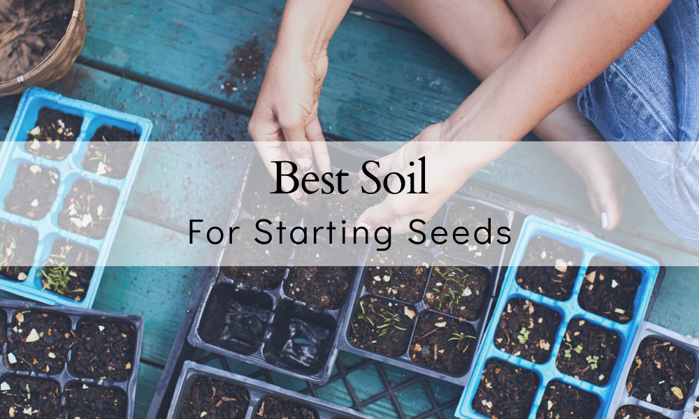 Best soil for seed starting
