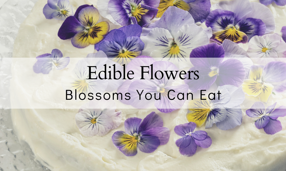 Flowers you can eat
