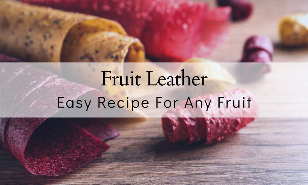 EASY Fruit Leather Recipe for ANY Fruit