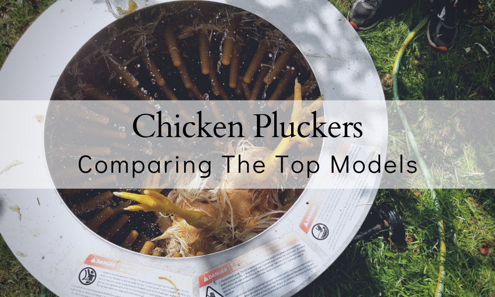 Chicken Pluckers Information