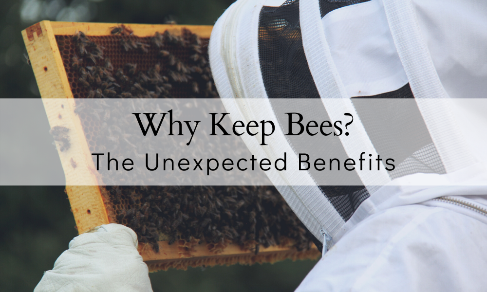 The TOP 7 Benefits Of Beekeeping