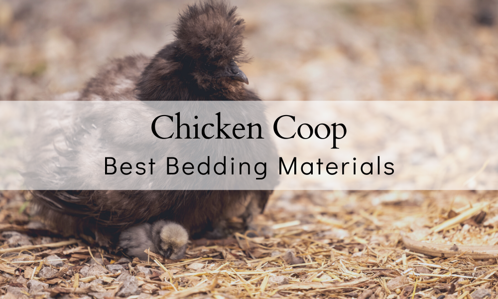 The BEST Chicken Coop Bedding Material The Farmers Cupboard