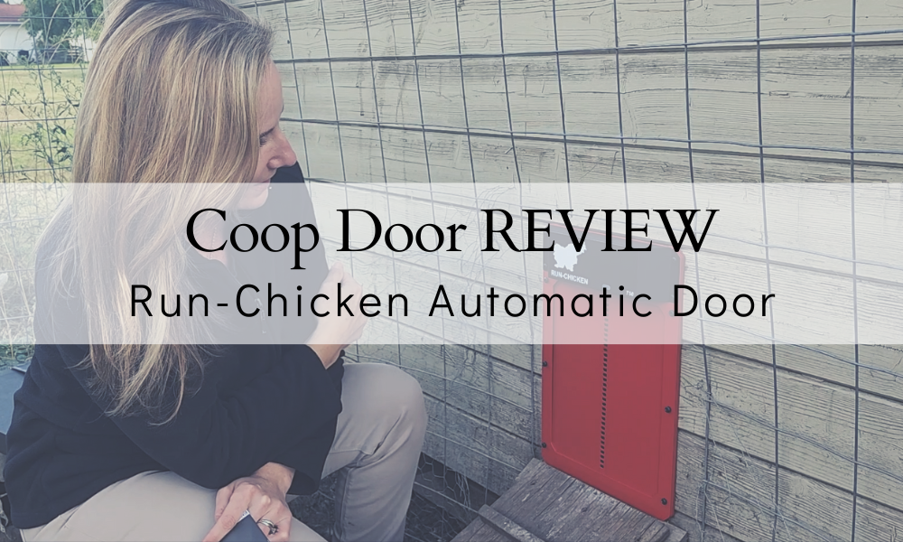 Best Automatic Chicken Coop Door