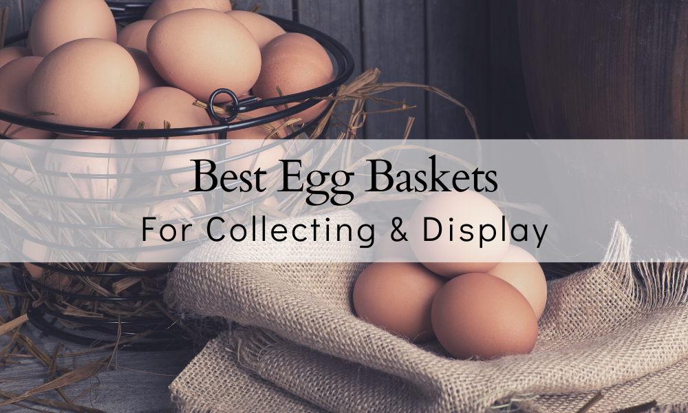 Egg Baskets