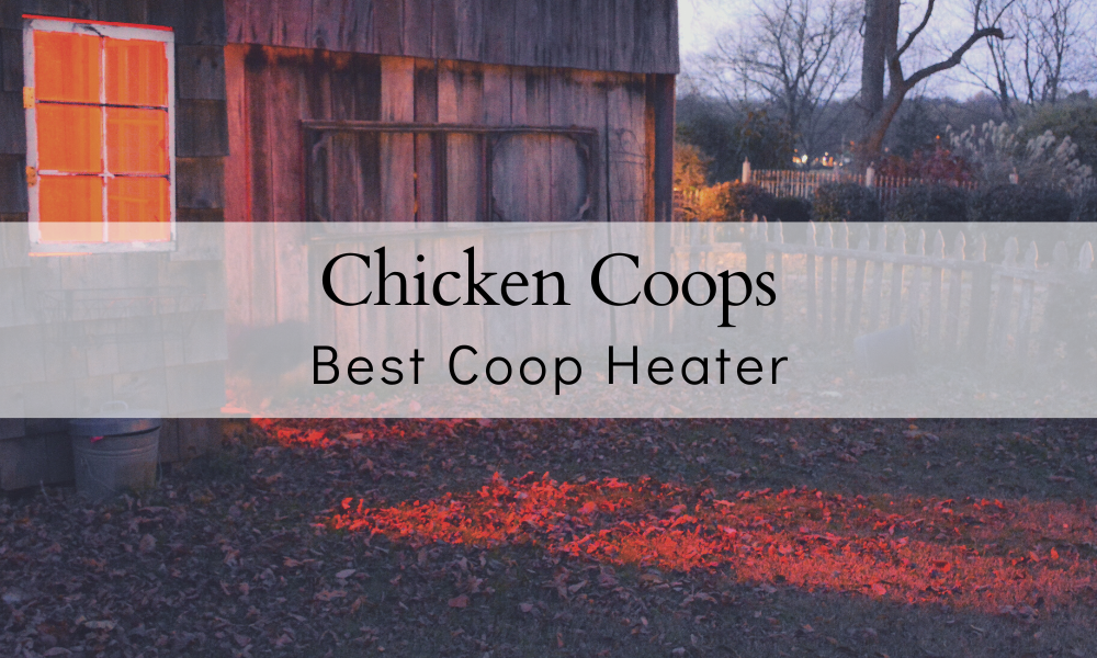 Infrared chicken coop heater deals