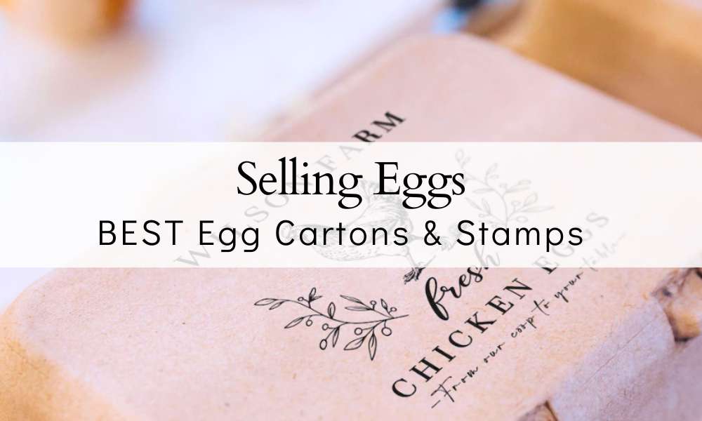 Egg Cartons and custom egg stamp