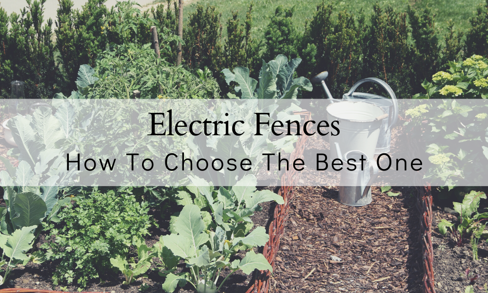 Electric Fence For A Garden