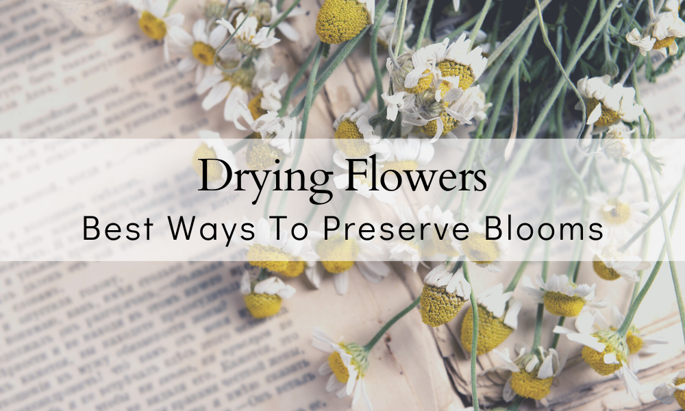 How To Dry Flowers  6 Ways That WORK BEST – The Farmers Cupboard