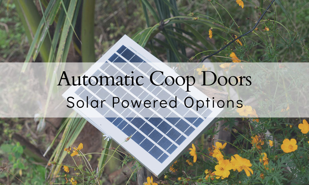Solar Powered Automatic Chicken Coop Doors
