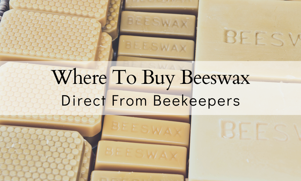 Where To Buy REAL Beeswax | 2025 – The Farmers Cupboard