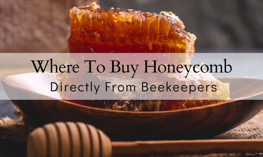 Where To Buy Honeycomb