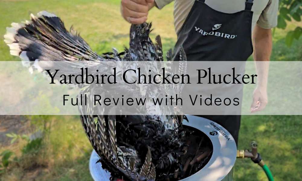 Yardbird Chicken Plucker Review