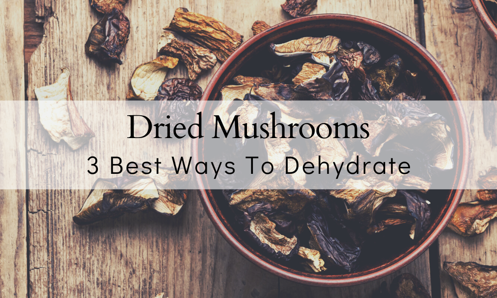 How to dry mushrooms