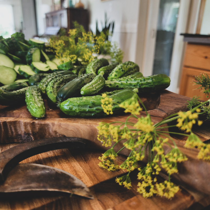 Making homemade pickles from the garden